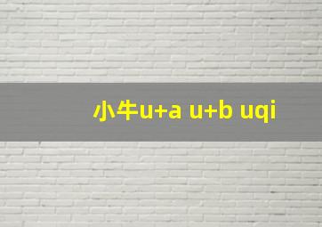 小牛u+a u+b uqi